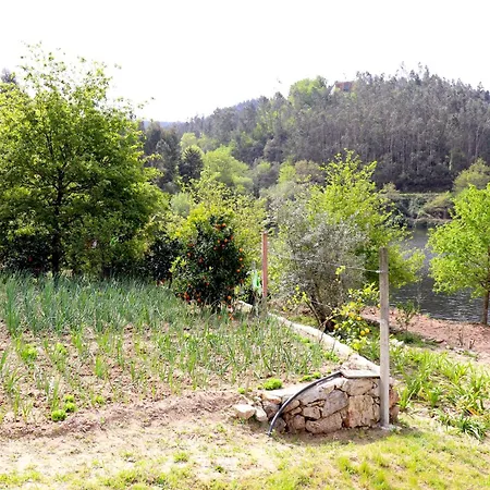 Casa de Férias Casa Do Vouga *